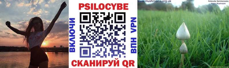 наркотики  Красноуральск  darknet телеграм  Галлюциногенные грибы GOLDEN TEACHER 